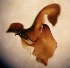  ( - TAF-BA-1-1)  @12 [ ] Unspecified (default): All Rights Reserved  Unspecified Unspecified