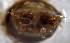  ( - TL-CH-03-02)  @12 [ ] Unspecified (default): All Rights Reserved  Unspecified Unspecified