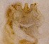  ( - TL-RO-10-02)  @12 [ ] Unspecified (default): All Rights Reserved  Unspecified Unspecified