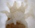  ( - TL-RO-10-03)  @11 [ ] Unspecified (default): All Rights Reserved  Unspecified Unspecified