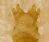  ( - TL-RO-10-04)  @12 [ ] Unspecified (default): All Rights Reserved  Unspecified Unspecified
