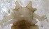  ( - TL-RO-10-06)  @12 [ ] Unspecified (default): All Rights Reserved  Unspecified Unspecified