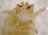  ( - TL-RO-10-07)  @12 [ ] Unspecified (default): All Rights Reserved  Unspecified Unspecified
