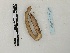  ( - DFM-1090)  @11 [ ] by-nc-sa (2022) Thibaud Decaëns Universite Montpellier, CEFE Lab