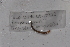  (Gordiodrilus OTU51 - EW-GAB.LBV-0353)  @12 [ ] Copyright (2012) Thibaud Decaens Laboratoire ECODIV, Univ Rouen
