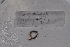 ( - EW-GAB.LBV-0376)  @12 [ ] Copyright (2012) Thibaud Decaens Laboratoire ECODIV, Univ Rouen