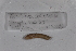  ( - EW-GAB.LBV-0406)  @12 [ ] Copyright (2012) Thibaud Decaens Laboratoire ECODIV, Univ Rouen