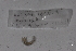  ( - EW-GAB.LBV-0430)  @12 [ ] Copyright (2012) Thibaud Decaens Laboratoire ECODIV, Univ Rouen