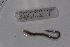  (Dichogaster OTU22 - EW-Lope11-0016)  @12 [ ] Copyright (2012) Thibaud Decaens Laboratoire ECODIV, Univ Rouen