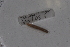  ( - EW-Lope11-0026)  @12 [ ] Copyright (2012) Thibaud Decaens Laboratoire ECODIV, Univ Rouen