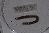  ( - EW-Lope11-0048)  @12 [ ] Copyright (2012) Thibaud Decaens Laboratoire ECODIV, Univ Rouen