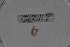  (Xibaro OTU35 - EW-Lope11-0070)  @12 [ ] Copyright (2012) Thibaud Decaens Laboratoire ECODIV, Univ Rouen