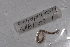  ( - EW-Lope11-0079)  @12 [ ] Copyright (2012) Thibaud Decaens Laboratoire ECODIV, Univ Rouen