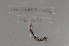  (Dichogaster OTU80 - EW-Lope11-0096)  @12 [ ] Copyright (2012) Thibaud Decaens Laboratoire ECODIV, Univ Rouen