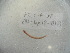  ( - EW-Lope12-0183)  @12 [ ] Copyright (2012) C.Doussot Ecodiv