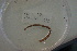  ( - EW-Lope12-0228)  @12 [ ] Copyright (2012) C.Doussot Ecodiv