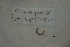  ( - EW-Lope12-0242)  @12 [ ] Copyright (2012) C.Doussot Ecodiv