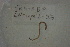  ( - EW-Lope12-0243)  @12 [ ] Copyright (2012) C.Doussot Ecodiv