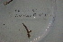  ( - EW-Lope12-0246)  @12 [ ] Copyright (2012) C.Doussot Ecodiv