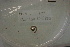  ( - EW-Lope12-0260)  @12 [ ] Copyright (2012) C.Doussot Ecodiv