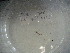  ( - EW-Lope12-0269)  @12 [ ] Copyright (2012) C.Doussot Ecodiv