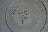  ( - EW-Lope12-0327)  @12 [ ] Copyright (2012) C.Doussot Ecodiv