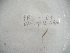  ( - EW-Lope12-0424)  @12 [ ] Copyright (2012) C.Doussot Ecodiv