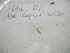  ( - EW-Lope12-0428)  @12 [ ] Copyright (2012) C.Doussot Ecodiv