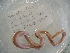 ( - EW-RCA-0005)  @12 [ ] CreativeCommons - Attribution Non-Commercial Share-Alike (2013) ECODIV Univ Rouen