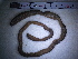  ( - IT_MGP_Dolegna_6)  @12 [ ] CreativeCommons - Attribution Share-Alike (2015) Federico Gavinelli Lab.Paoletti-UniPd