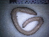  ( - IT_MGP_Ekar_1)  @12 [ ] CreativeCommons - Attribution Share-Alike (2015) Federico Gavinelli Lab.Paoletti-UniPd