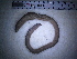  ( - IT_MGP_Ekar_2)  @12 [ ] CreativeCommons - Attribution Share-Alike (2015) Federico Gavinelli Lab.Paoletti-UniPd