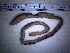  ( - IT_MGP_Laibacco_8)  @12 [ ] CreativeCommons - Attribution Share-Alike (2015) Federico Gavinelli Lab.Paoletti-UniPd