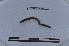  ( - EW-LT-0014)  @11 [ ] CreativeCommons - Attribution Non-Commercial Share-Alike (2018) Thibaud Decaëns Universite Montpellier, CEFE Lab