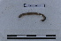  ( - EW-LT-0017)  @11 [ ] CreativeCommons - Attribution Non-Commercial Share-Alike (2018) Thibaud Decaëns Universite Montpellier, CEFE Lab