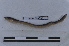  ( - EW-LT-0096)  @11 [ ] CreativeCommons - Attribution Non-Commercial Share-Alike (2018) Thibaud Decaëns Universite Montpellier, CEFE Lab