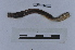  ( - EW-LT-0112)  @11 [ ] CreativeCommons - Attribution Non-Commercial Share-Alike (2018) Thibaud Decaëns Universite Montpellier, CEFE Lab