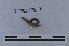 ( - EW-LT-0116)  @11 [ ] CreativeCommons - Attribution Non-Commercial Share-Alike (2018) Thibaud Decaëns Universite Montpellier, CEFE Lab