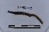  ( - EW-LT-0124)  @11 [ ] CreativeCommons - Attribution Non-Commercial Share-Alike (2018) Thibaud Decaëns Universite Montpellier, CEFE Lab