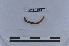  ( - EW-LT-0184)  @11 [ ] CreativeCommons - Attribution Non-Commercial Share-Alike (2018) Thibaud Decaëns Universite Montpellier, CEFE Lab