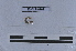  ( - EW-LT-0189)  @11 [ ] CreativeCommons - Attribution Non-Commercial Share-Alike (2018) Thibaud Decaëns Universite Montpellier, CEFE Lab