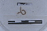  ( - EW-LT-0213)  @11 [ ] CreativeCommons - Attribution Non-Commercial Share-Alike (2018) Thibaud Decaëns Universite Montpellier, CEFE Lab