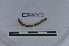  ( - EW-LT-0250)  @11 [ ] CreativeCommons - Attribution Non-Commercial Share-Alike (2018) Thibaud Decaëns Universite Montpellier, CEFE Lab