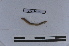  ( - EW-LT-0252)  @11 [ ] CreativeCommons - Attribution Non-Commercial Share-Alike (2018) Thibaud Decaëns Universite Montpellier, CEFE Lab