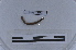 ( - EW-LT-0255)  @11 [ ] CreativeCommons - Attribution Non-Commercial Share-Alike (2018) Thibaud Decaëns Universite Montpellier, CEFE Lab