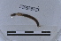  ( - EW-LT-0264)  @11 [ ] CreativeCommons - Attribution Non-Commercial Share-Alike (2018) Thibaud Decaëns Universite Montpellier, CEFE Lab