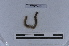  ( - EW-LT-0266)  @11 [ ] CreativeCommons - Attribution Non-Commercial Share-Alike (2018) Thibaud Decaëns Universite Montpellier, CEFE Lab
