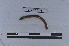  ( - EW-LT-0275)  @11 [ ] CreativeCommons - Attribution Non-Commercial Share-Alike (2018) Thibaud Decaëns Universite Montpellier, CEFE Lab