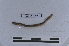  ( - EW-LT-0293)  @11 [ ] CreativeCommons - Attribution Non-Commercial Share-Alike (2018) Thibaud Decaëns Universite Montpellier, CEFE Lab