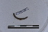  ( - EW-LT-0295)  @11 [ ] CreativeCommons - Attribution Non-Commercial Share-Alike (2018) Thibaud Decaëns Universite Montpellier, CEFE Lab